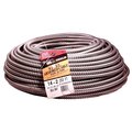 Southwire Cable Armored Steel 14/2 250Ft 55278301